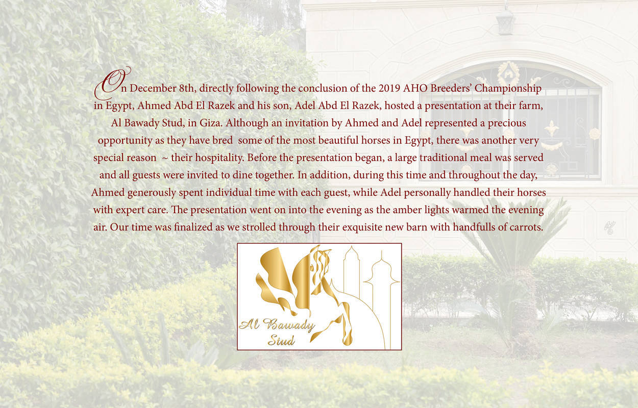 Lisa Abraham: A Gathering of Friends at Al Bawady Stud ~ Egypt