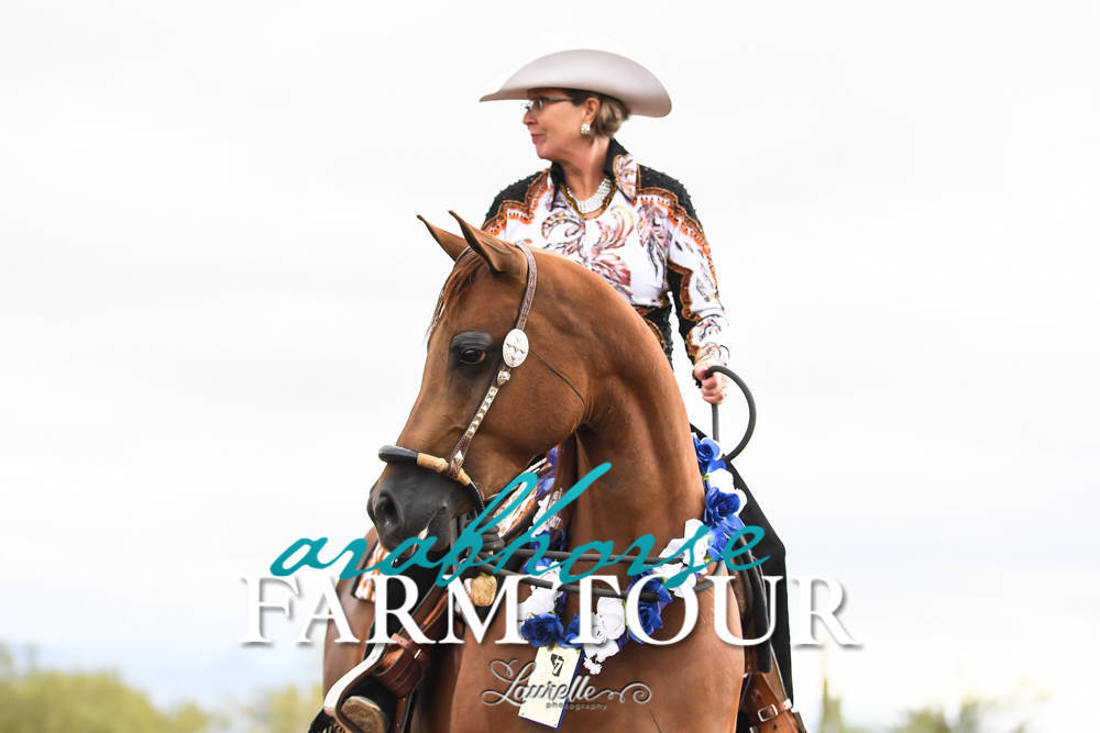 Culbreth Equine Training - 2019 Farm Tour