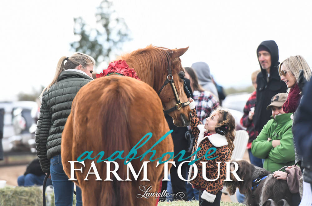 Culbreth Equine Training - 2019 Farm Tour