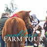 Culbreth Equine Training - 2019 Farm Tour
