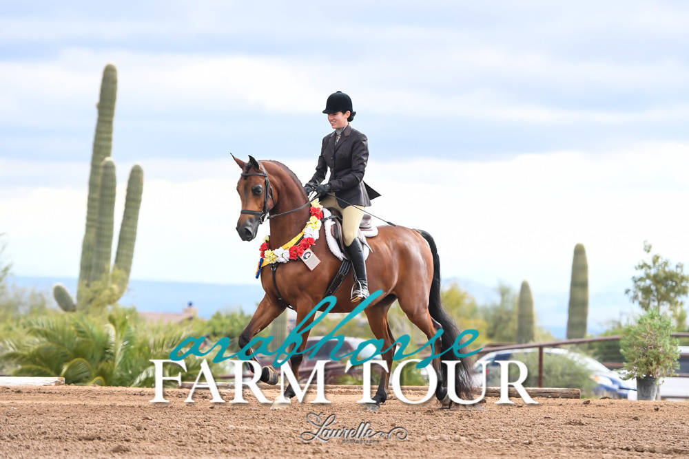 Culbreth Equine Training - 2019 Farm Tour