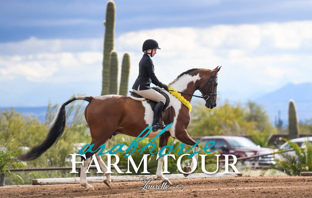 Culbreth Equine Training - 2019 Farm Tour