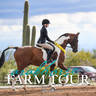 Culbreth Equine Training - 2019 Farm Tour
