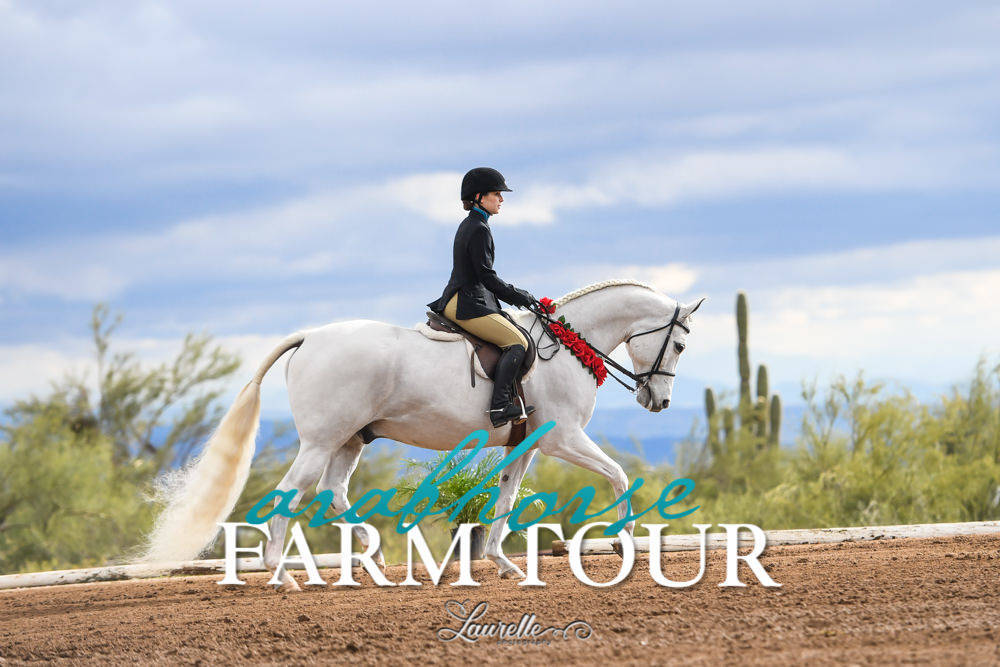 Culbreth Equine Training - 2019 Farm Tour