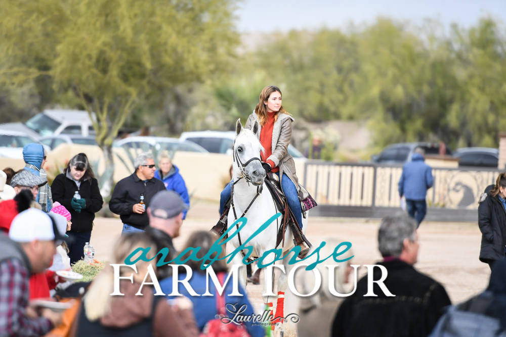 McDonald Arabians - 2019 FARM TOUR