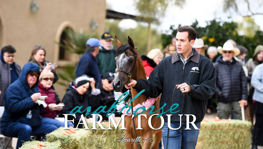 McDonald Arabians - 2019 FARM TOUR