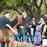McDonald Arabians - 2019 FARM TOUR