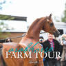 McDonald Arabians - 2019 FARM TOUR