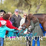 McDonald Arabians - 2019 FARM TOUR