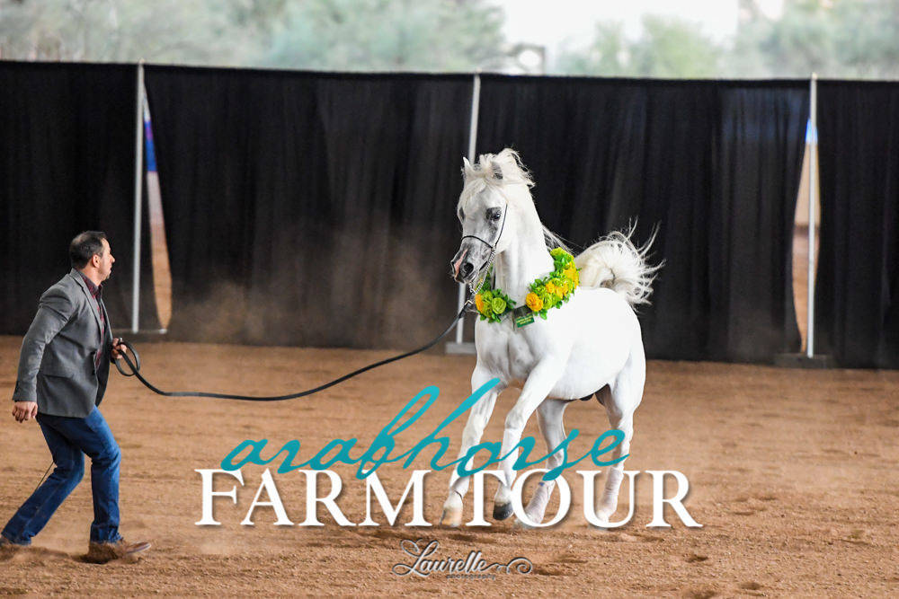 Royal Arabians - 2019 FARM TOUR