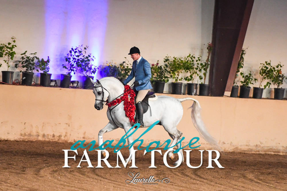 Royal Arabians - 2019 FARM TOUR