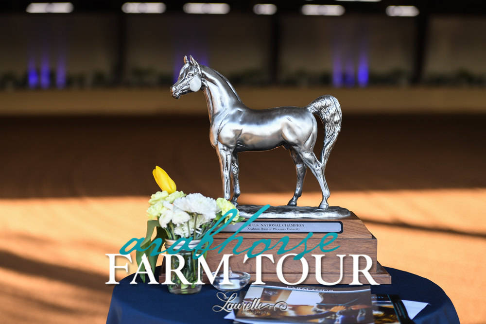 Royal Arabians - 2019 FARM TOUR