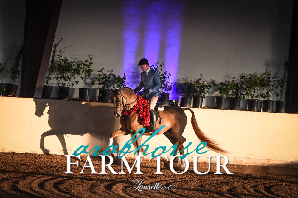 Royal Arabians - 2019 FARM TOUR