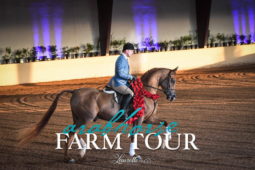 Royal Arabians - 2019 FARM TOUR