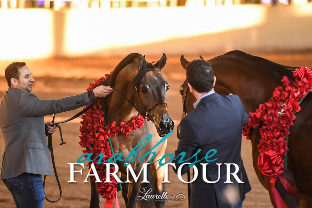 Royal Arabians - 2019 FARM TOUR