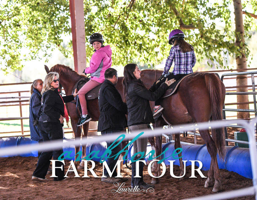 Hoofbeatz/AHAA - 2019 FARM TOUR