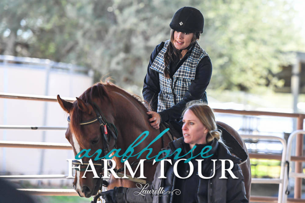 Hoofbeatz/AHAA - 2019 FARM TOUR