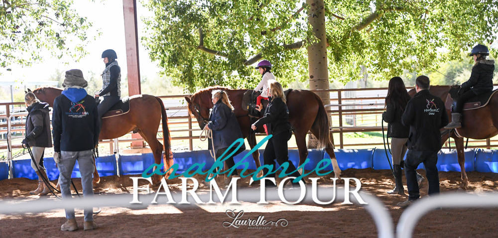 Hoofbeatz/AHAA - 2019 FARM TOUR