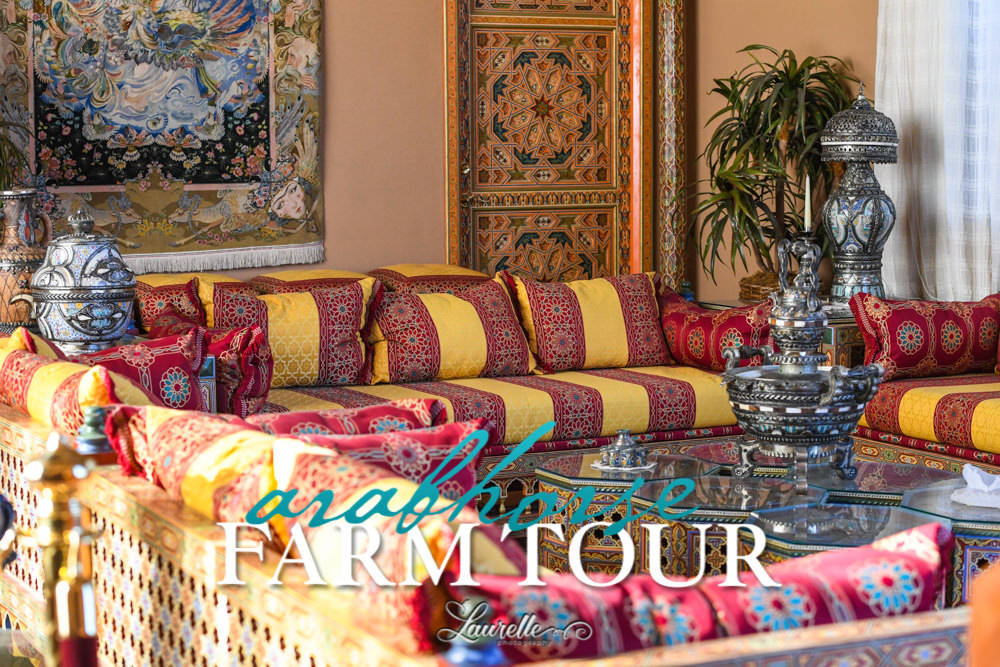 Arabian Horse Association of Arizona -  - 2019 FARM TOUR