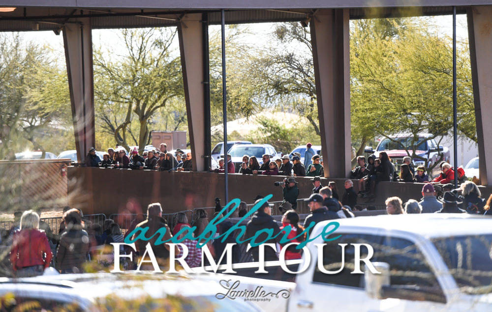 Arabian Horse Association of Arizona -  - 2019 FARM TOUR