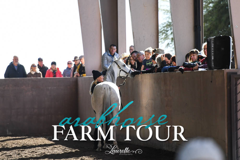 Arabian Horse Association of Arizona -  - 2019 FARM TOUR