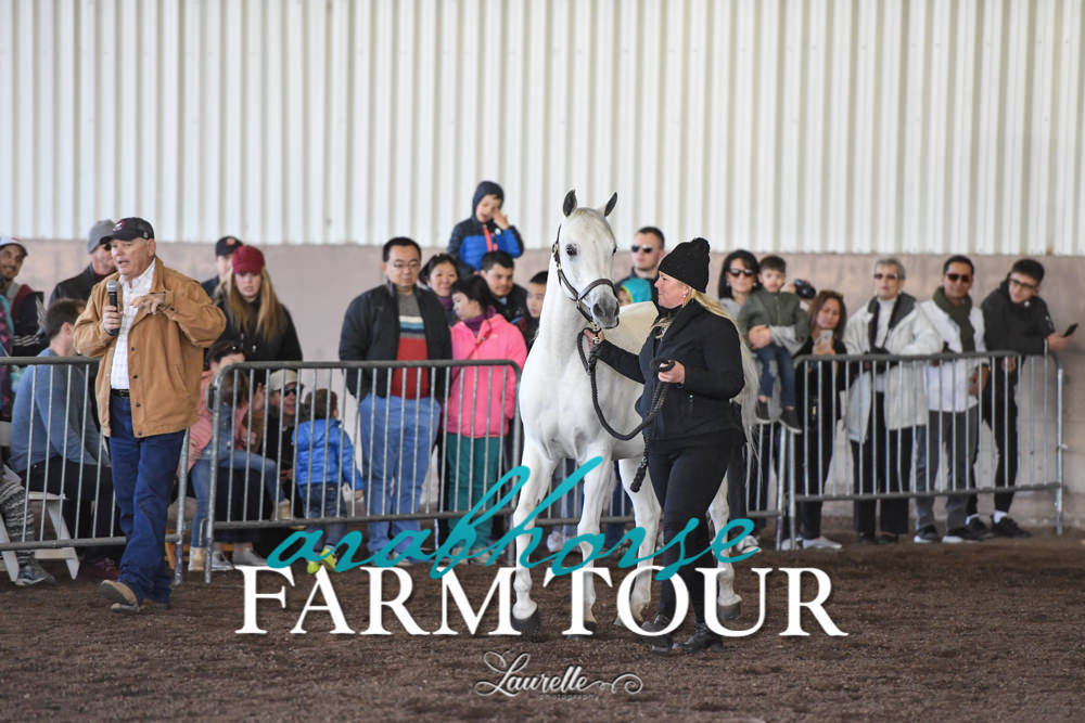 Arabian Horse Association of Arizona -  - 2019 FARM TOUR
