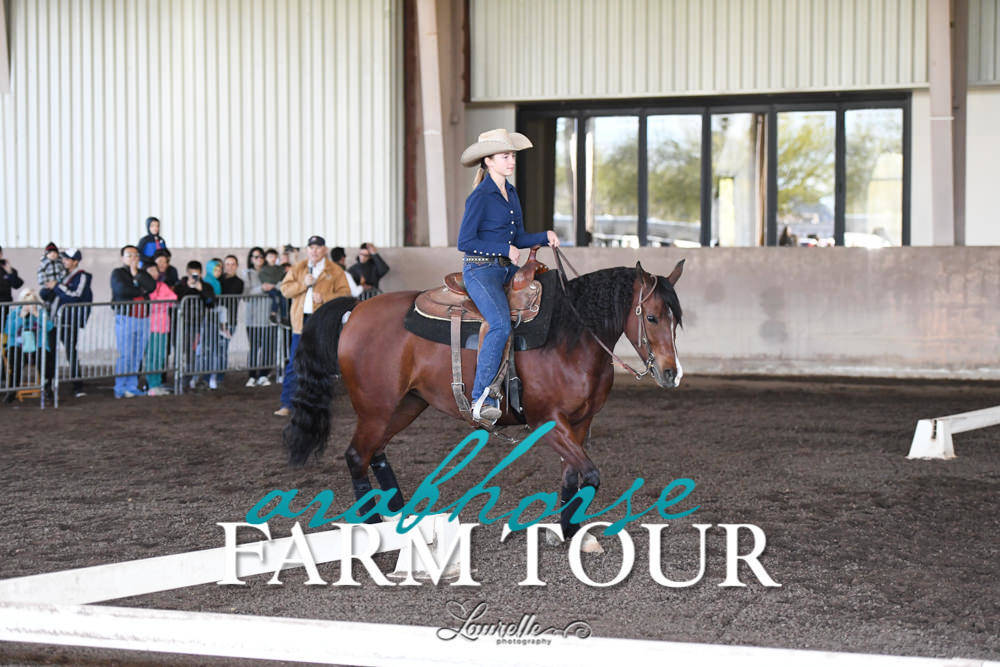 Arabian Horse Association of Arizona -  - 2019 FARM TOUR
