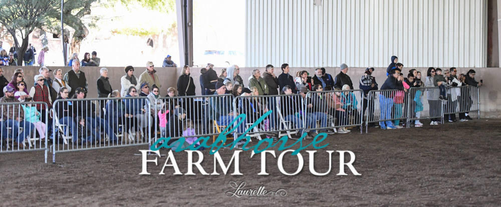 Arabian Horse Association of Arizona -  - 2019 FARM TOUR