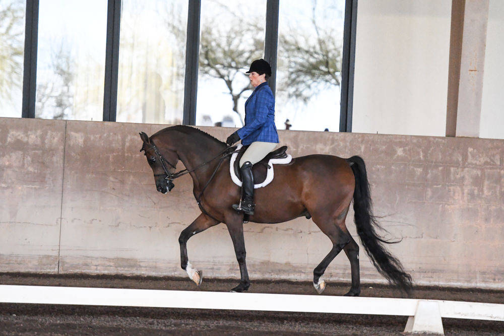 Arabian Horse Association of Arizona -  - 2019 FARM TOUR