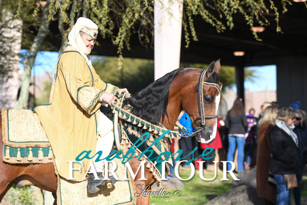 Arabian Horse Association of Arizona -  - 2019 FARM TOUR