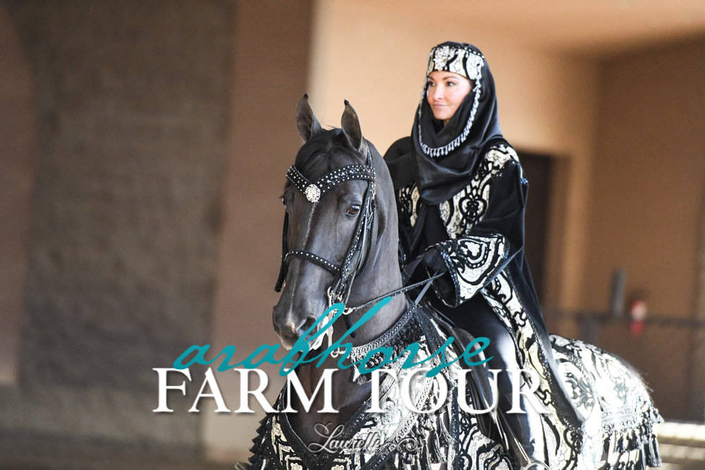 Arabian Horse Association of Arizona -  - 2019 FARM TOUR