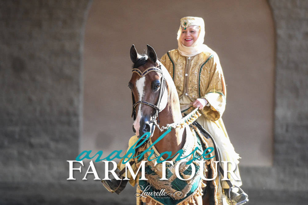 Arabian Horse Association of Arizona -  - 2019 FARM TOUR
