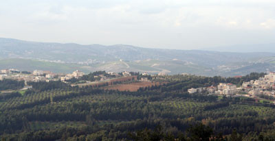 Royal Jaafar Stud - Aamman