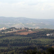 Royal Jaafar Stud - Aamman