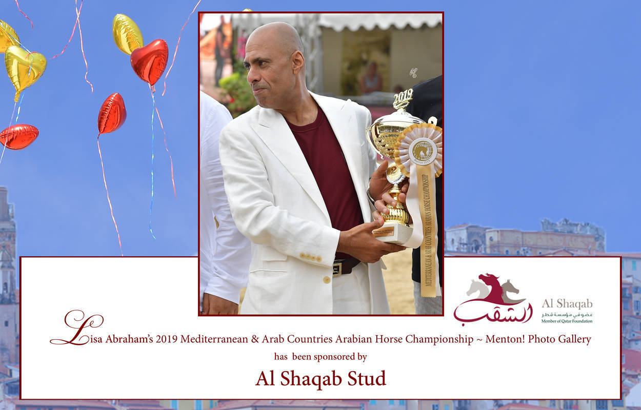 Lisa Abraham: MENTON ~ The 2019 Mediterranean & Arab Countries Arabian Horse Championship Photo Gallery