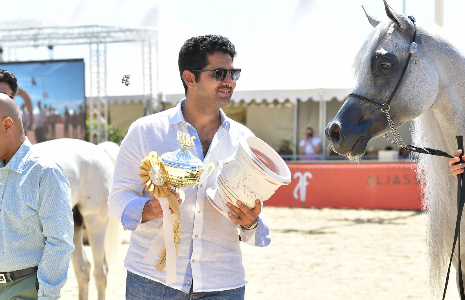 Lisa Abraham: MENTON ~ The 2019 Mediterranean & Arab Countries Arabian Horse Championship Photo Gallery