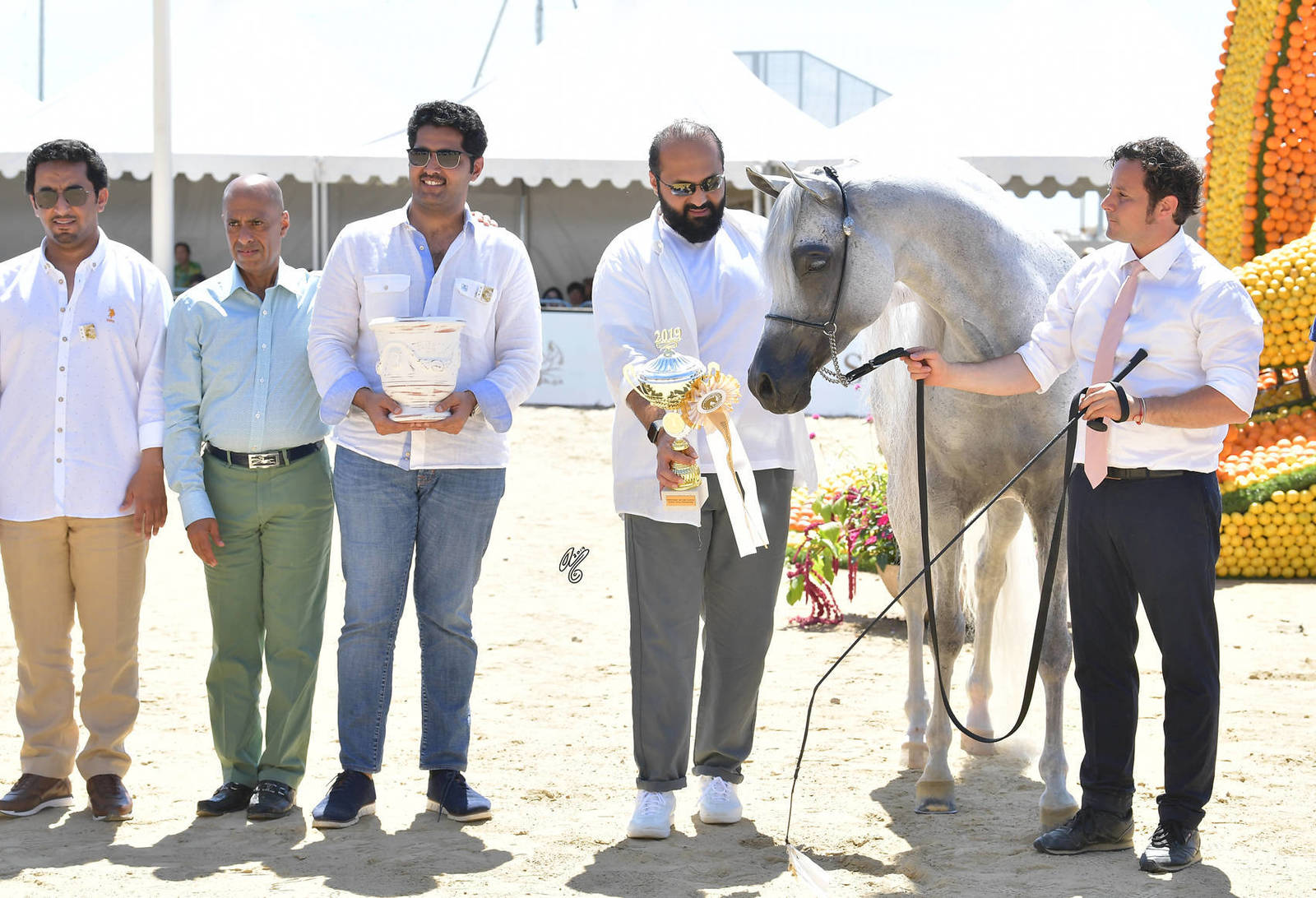 Lisa Abraham: MENTON ~ The 2019 Mediterranean & Arab Countries Arabian Horse Championship Photo Gallery