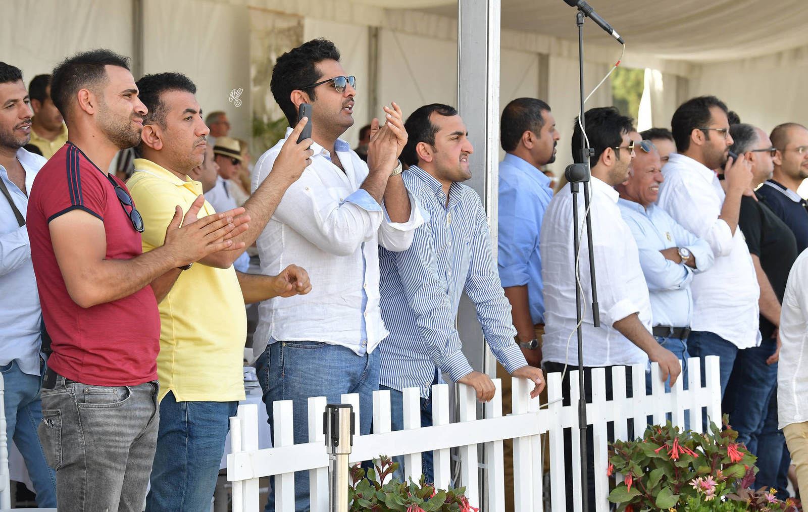 Lisa Abraham: MENTON ~ The 2019 Mediterranean & Arab Countries Arabian Horse Championship Photo Gallery