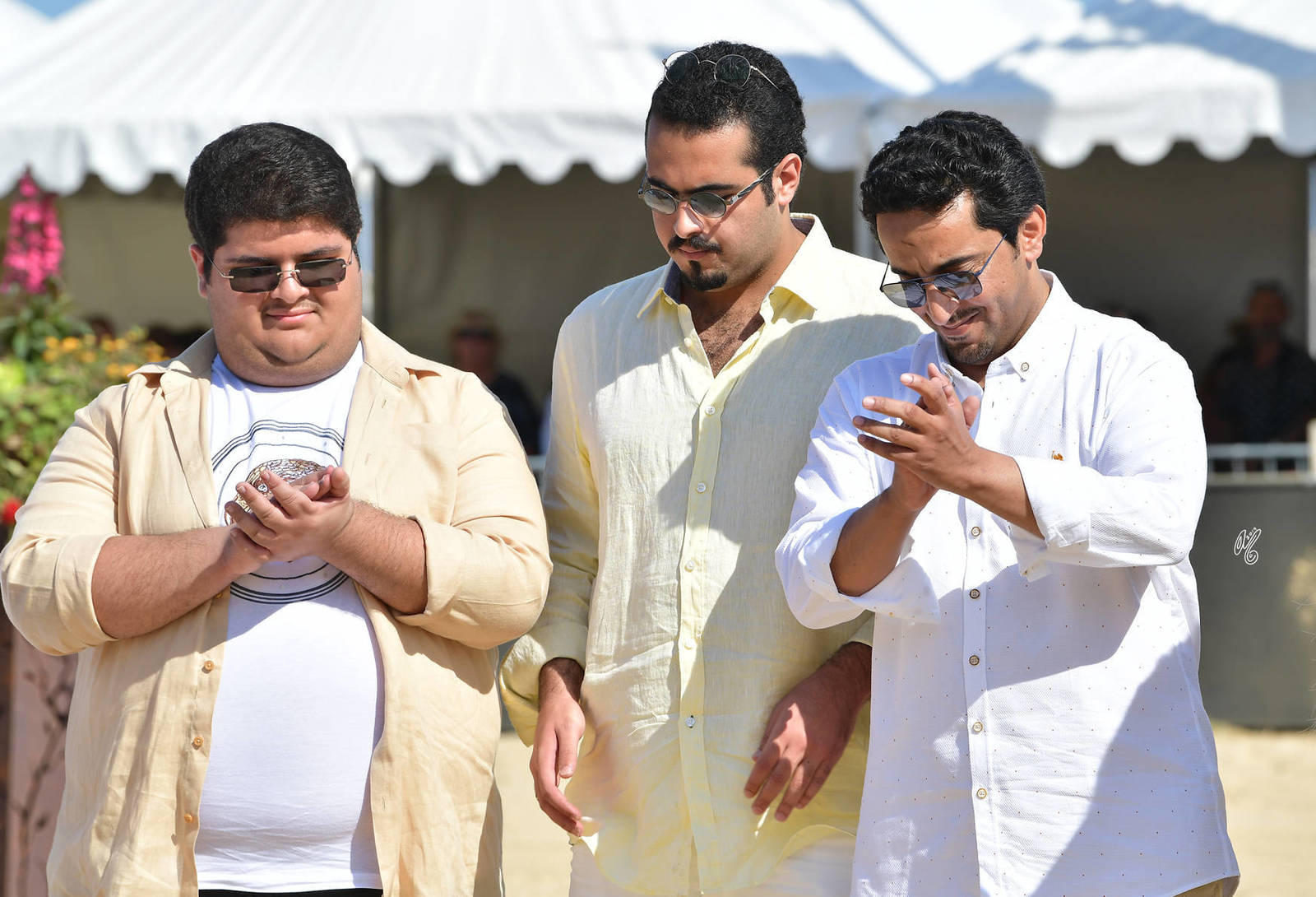 Lisa Abraham: MENTON ~ The 2019 Mediterranean & Arab Countries Arabian Horse Championship Photo Gallery