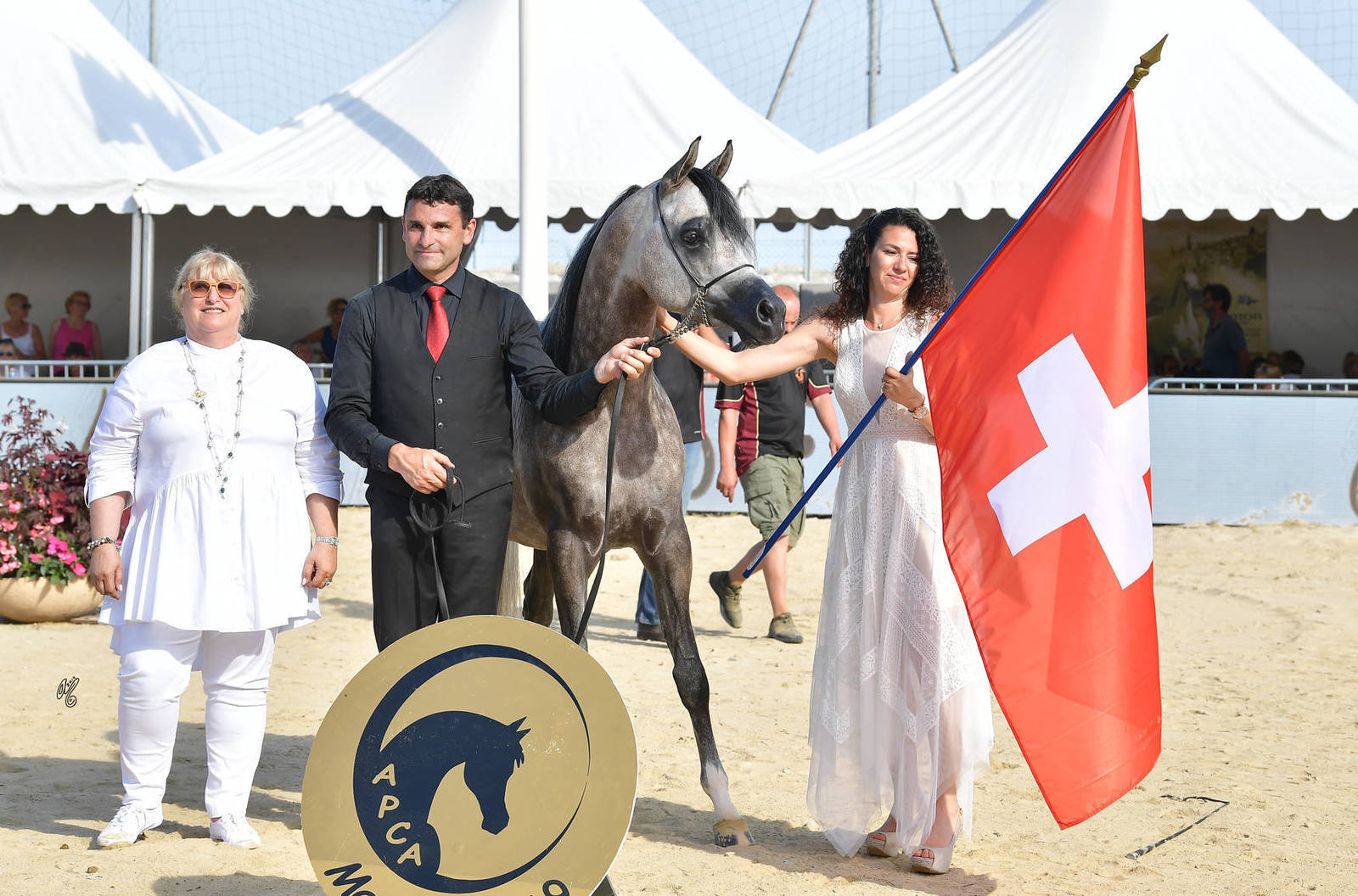 Lisa Abraham: MENTON ~ The 2019 Mediterranean & Arab Countries Arabian Horse Championship Photo Gallery