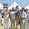 Lisa Abraham: MENTON ~ The 2019 Mediterranean & Arab Countries Arabian Horse Championship Photo Gallery