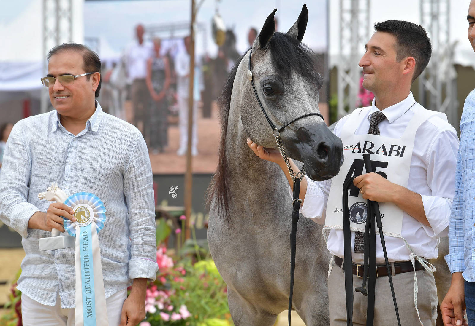 Lisa Abraham: MENTON ~ The 2019 Mediterranean & Arab Countries Arabian Horse Championship Photo Gallery