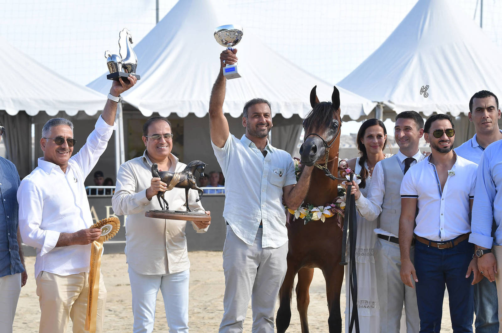 Lisa Abraham: MENTON ~ The 2019 Mediterranean & Arab Countries Arabian Horse Championship Photo Gallery