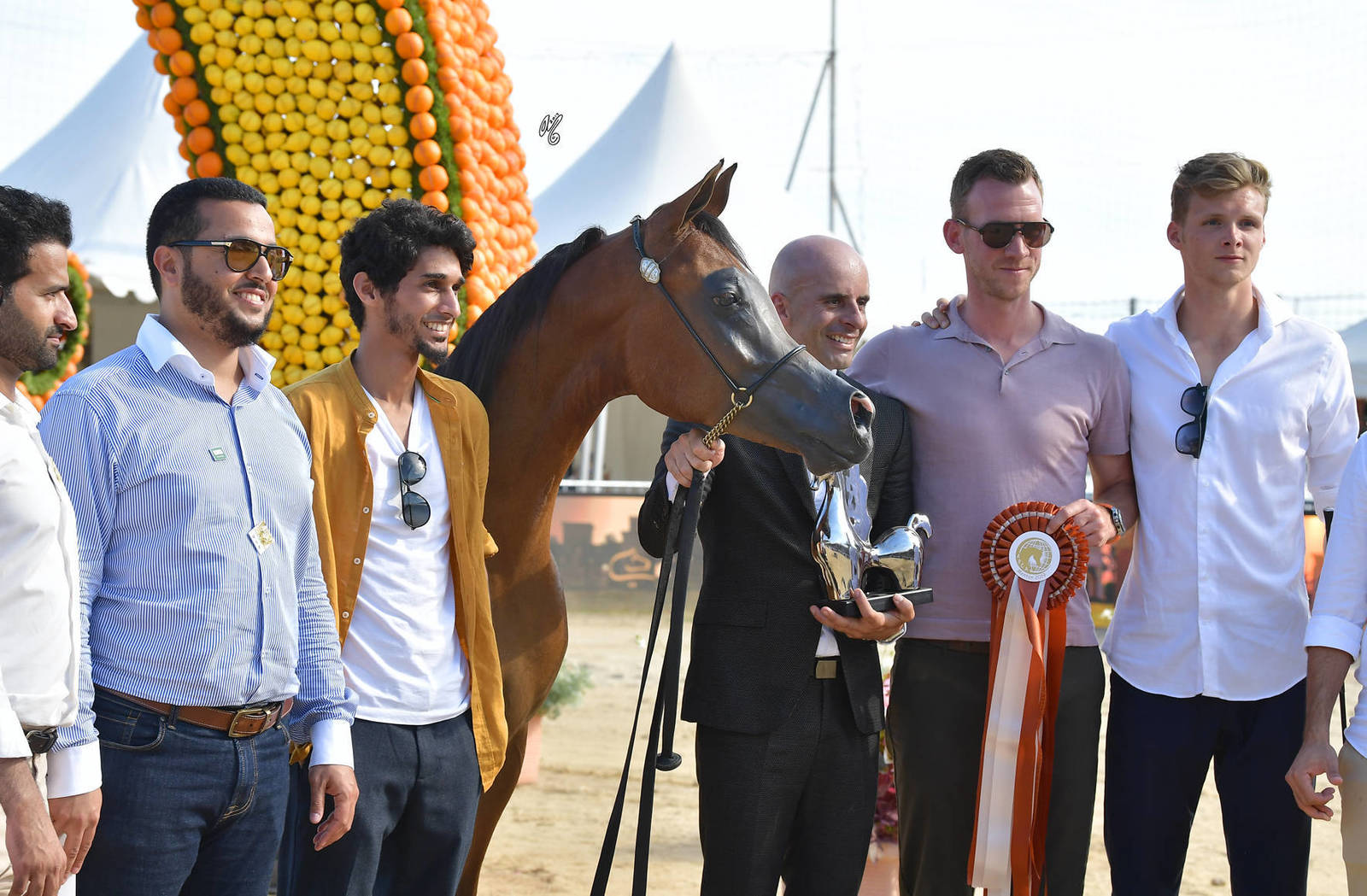 Lisa Abraham: MENTON ~ The 2019 Mediterranean & Arab Countries Arabian Horse Championship Photo Gallery