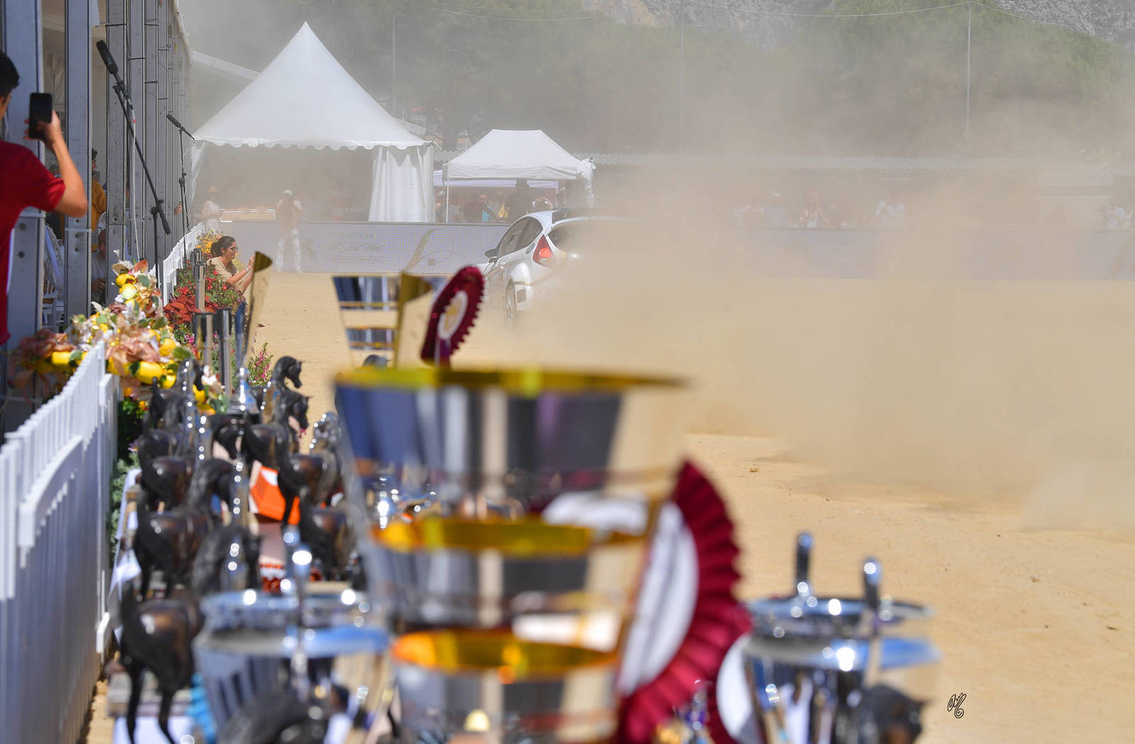 Lisa Abraham: MENTON ~ The 2019 Mediterranean & Arab Countries Arabian Horse Championship Photo Gallery