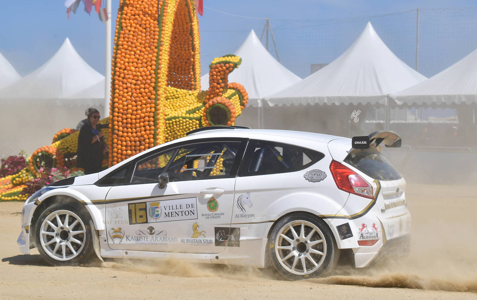 Lisa Abraham: MENTON ~ The 2019 Mediterranean & Arab Countries Arabian Horse Championship Photo Gallery