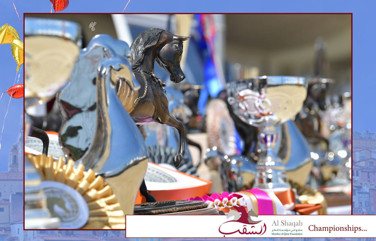 Lisa Abraham: MENTON ~ The 2019 Mediterranean & Arab Countries Arabian Horse Championship Photo Gallery