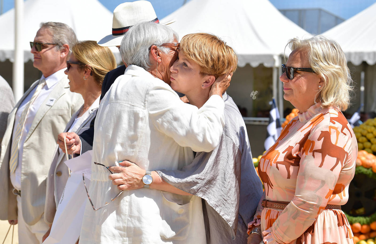 Lisa Abraham: MENTON ~ The 2019 Mediterranean & Arab Countries Arabian Horse Championship Photo Gallery