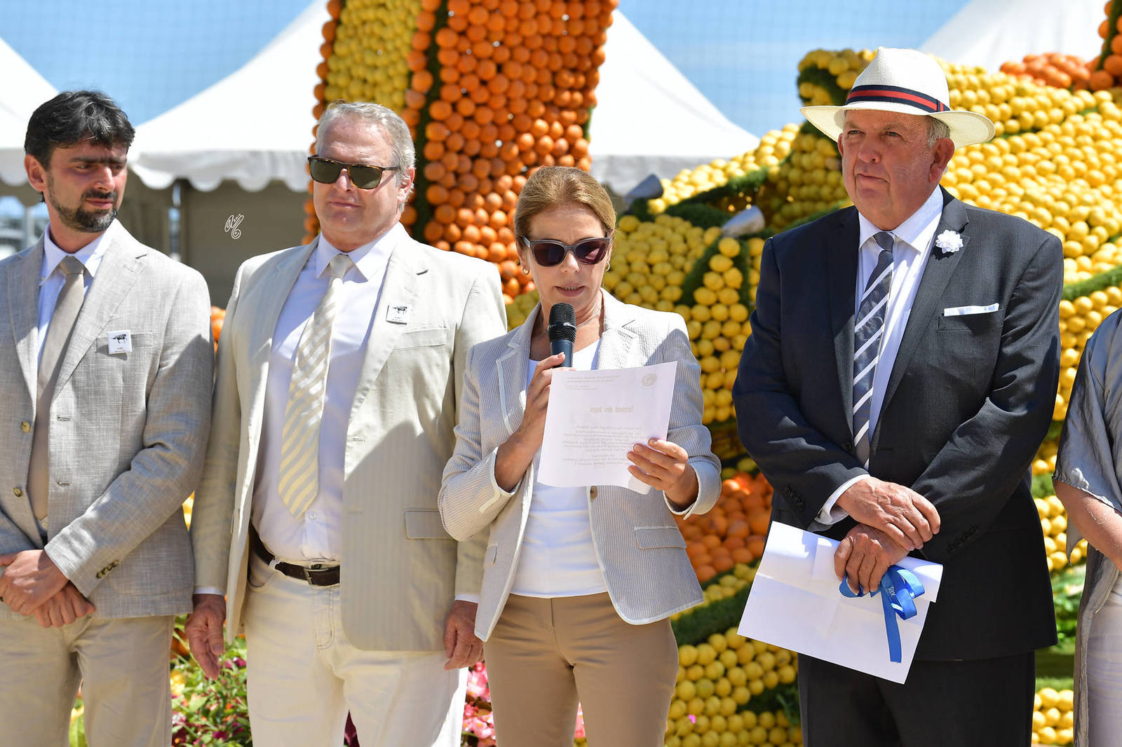 Lisa Abraham: MENTON ~ The 2019 Mediterranean & Arab Countries Arabian Horse Championship Photo Gallery