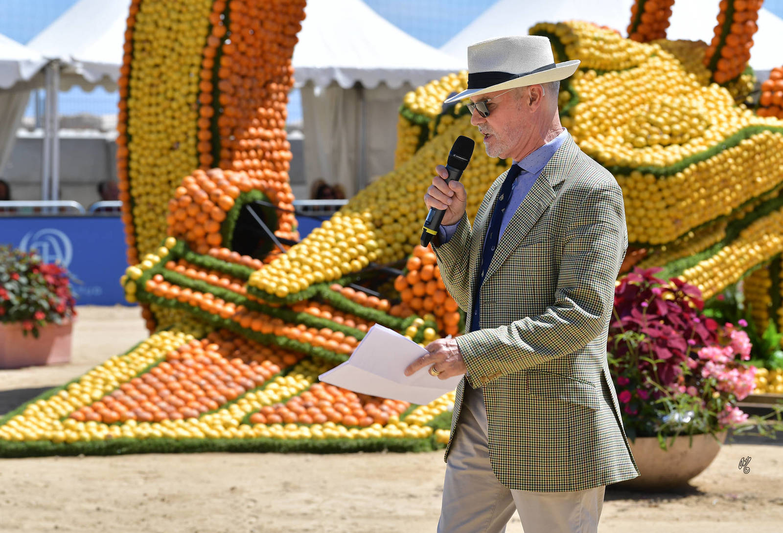 Lisa Abraham: MENTON ~ The 2019 Mediterranean & Arab Countries Arabian Horse Championship Photo Gallery